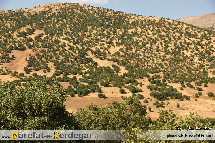 جاهای دیدنی استان کردستان جاهای دیدنی استان کردستان