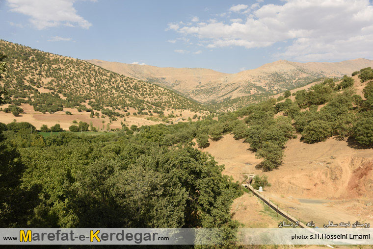 جنگل های استان کردستان جنگل های استان کردستان