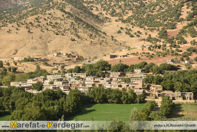 جنگل های استان کردستان جنگل های استان کردستان