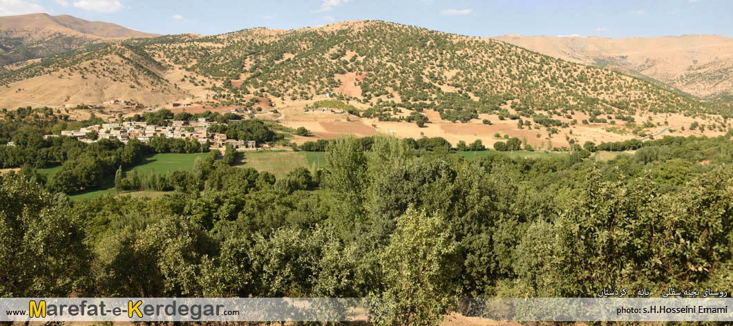 جنگل های استان کردستان جنگل های استان کردستان