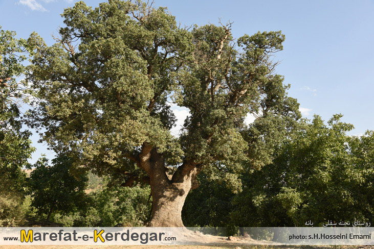 دیدنی های بانه دیدنی های بانه