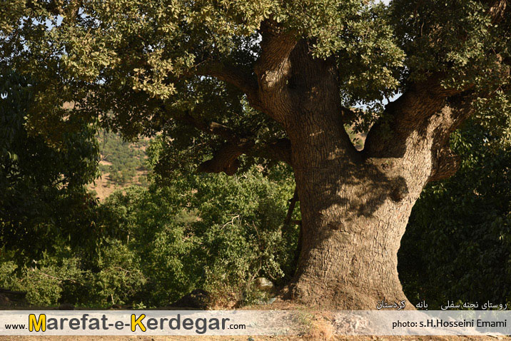 دیدنی های بانه دیدنی های بانه