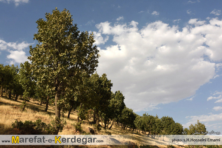 گردشگری بانه