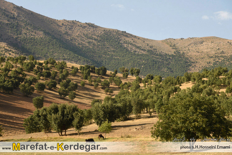 گردشگری شهرستان بانه