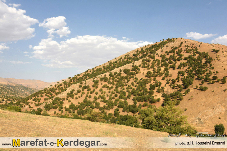 دیدنی های بانه دیدنی های بانه