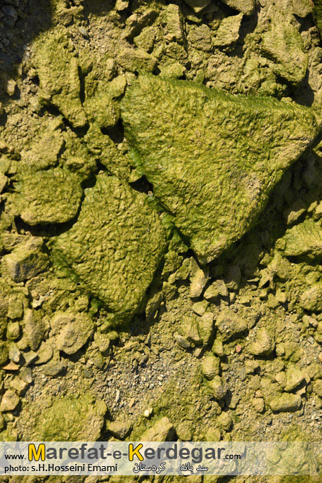 سدهای ایران سدهای ایران