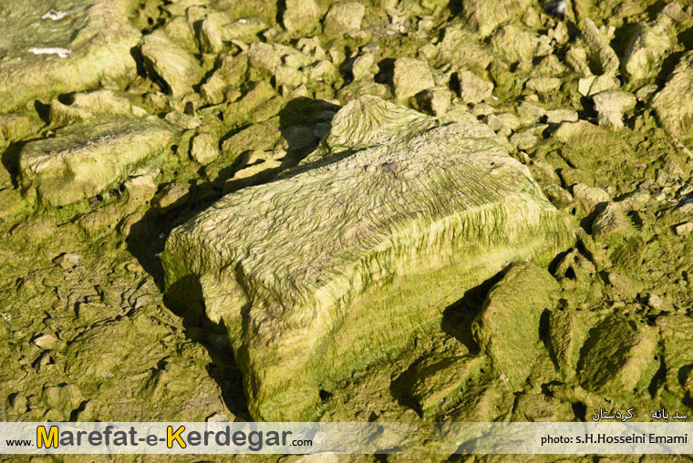 طبیعت بانه طبیعت بانه