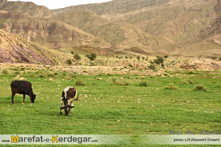 جاهای دیدنی بستک