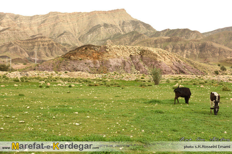 جاذبه های گردشگری بستک جاذبه های گردشگری بستک