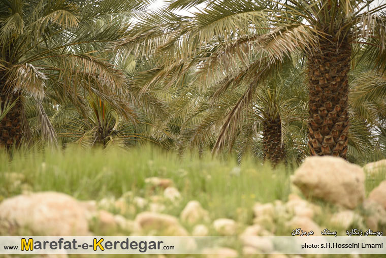 دیدنی های بستک دیدنی های بستک