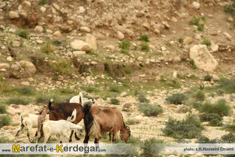 گردشگری بستک گردشگری بستک