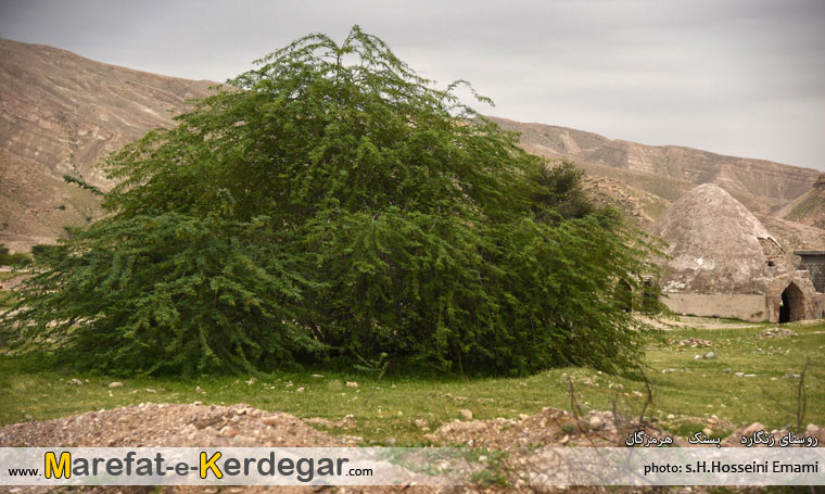 جاذبه های بستک جاذبه های بستک