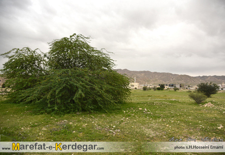 جاذبه های بستک جاذبه های بستک