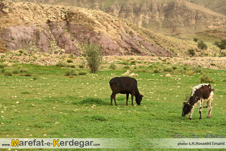 جاهای دیدنی بستک