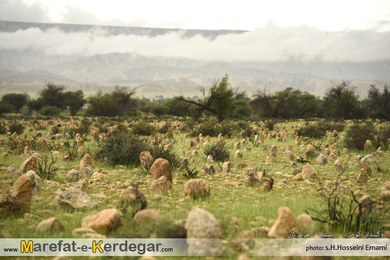 دیدنی های شهرستان بستک