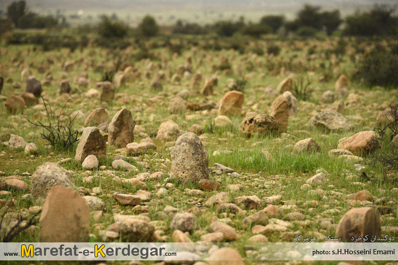 بناهای تاریخی بستک بناهای تاریخی بستک