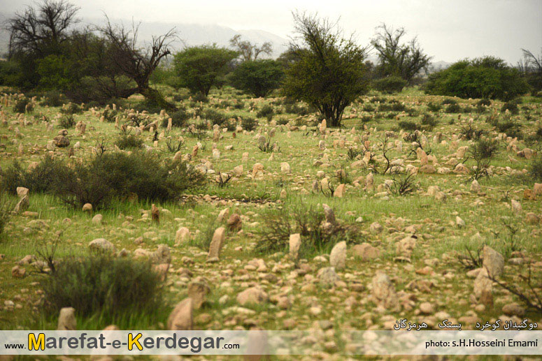 قبرستان های تاریخی ایران قبرستان های تاریخی ایران
