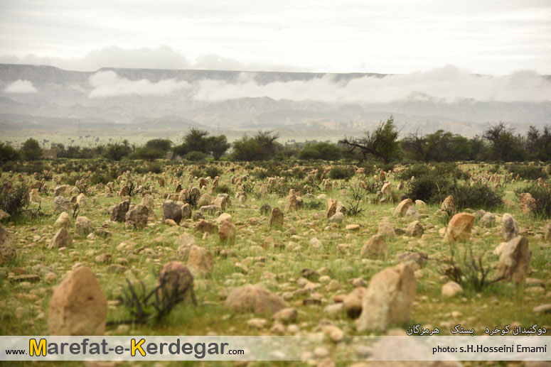 قبرستان های تاریخی هرمزگان قبرستان های تاریخی هرمزگان