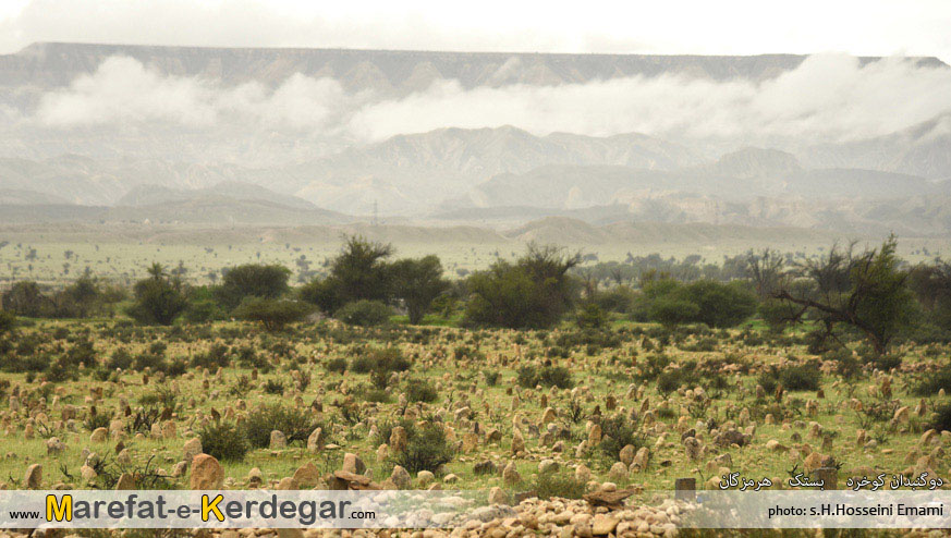 مقبره های تاریخی بستک مقبره های تاریخی بستک