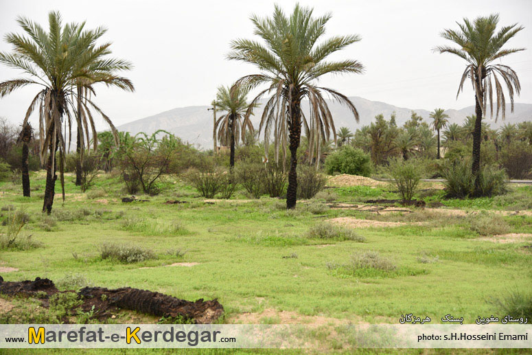 گردشگری بستک گردشگری بستک
