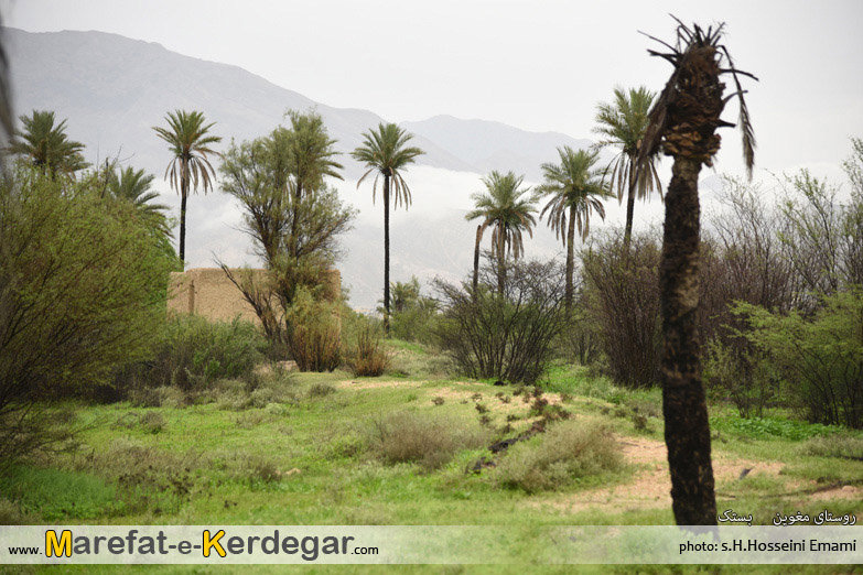 گردشگری بستک گردشگری بستک
