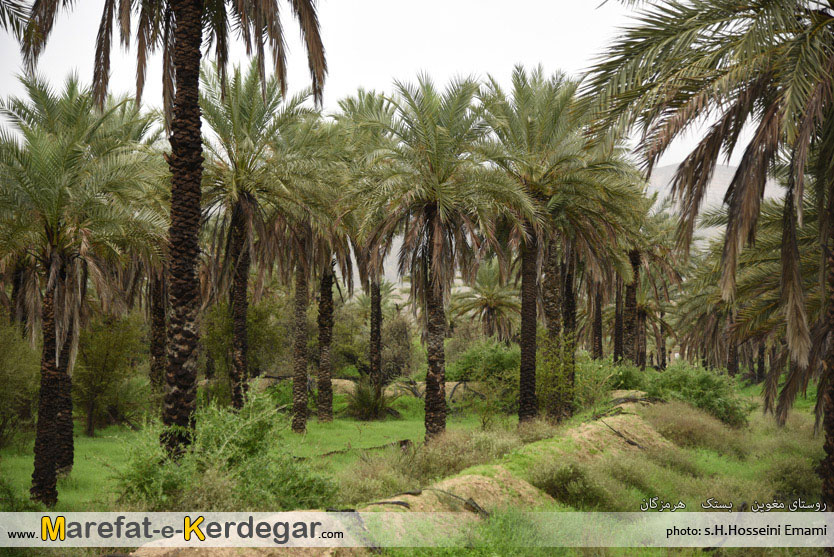 گردشگری هرمزگان گردشگری هرمزگان