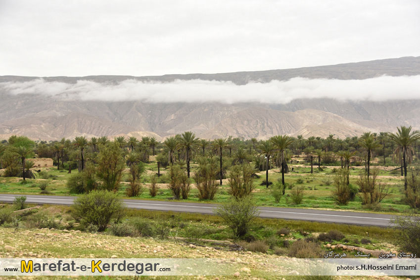 نخلستان های استان هرمزگان