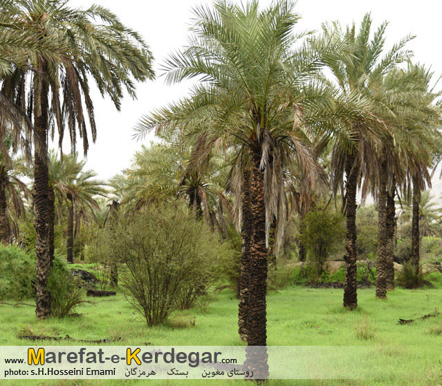 روستاهای بستک روستاهای بستک