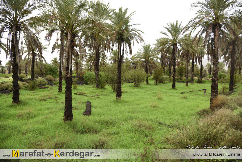 جغرافیای بستک