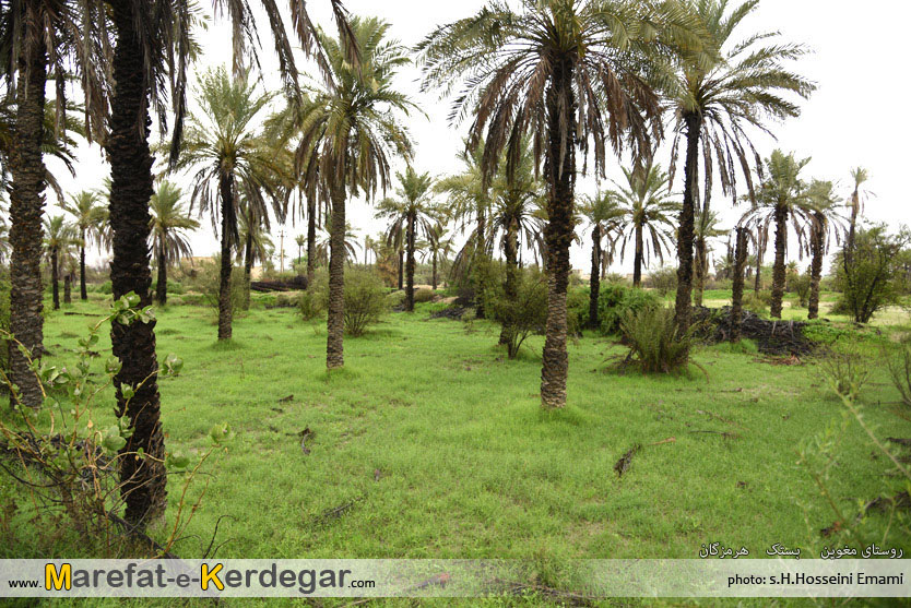 جغرافیای استان هرمزگان جغرافیای استان هرمزگان