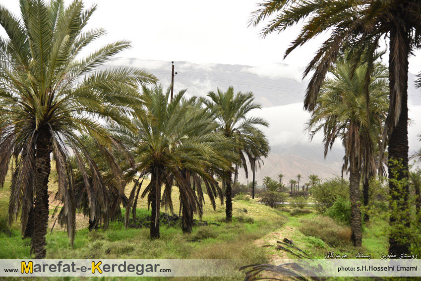 جغرافیای استان هرمزگان