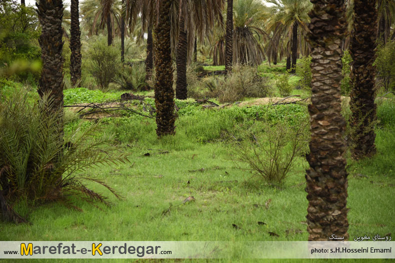 جغرافیای هرمزگان