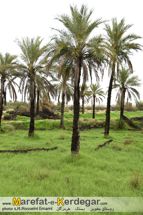 جغرافیای هرمزگان جغرافیای هرمزگان