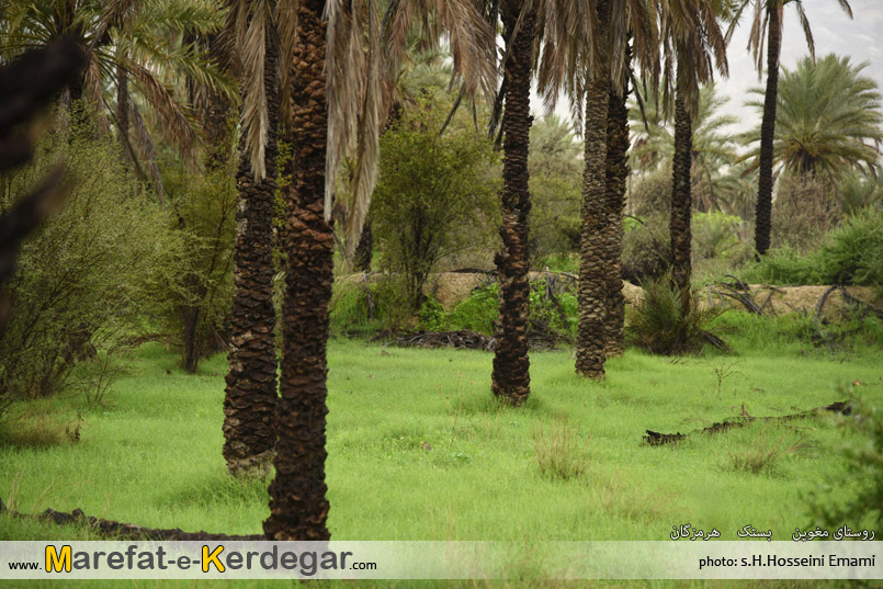 جاذبه های گردشگری شهرستان بستک