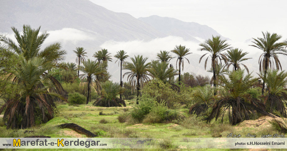 دیدنی های بستک دیدنی های بستک