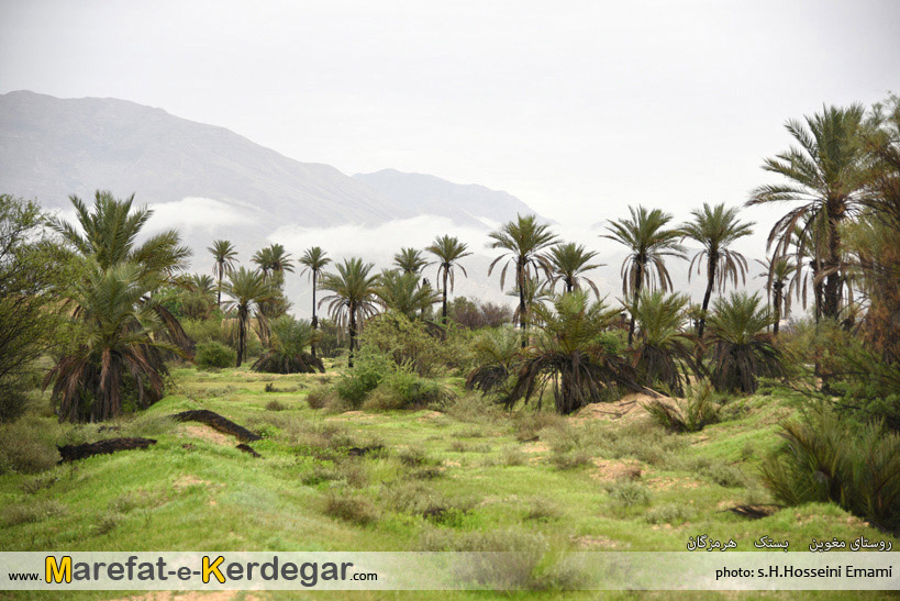 دیدنی های بستک دیدنی های بستک