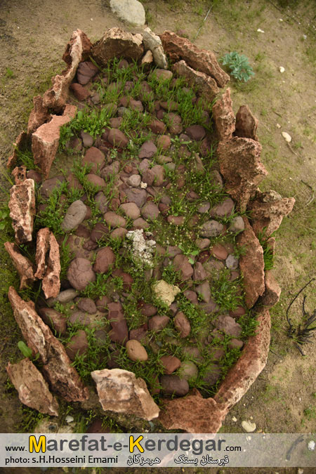 جاهای دیدنی بستک جاهای دیدنی بستک