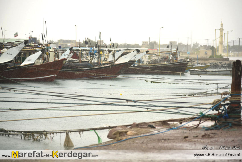 طبیعت بندر کنگ طبیعت بندر کنگ