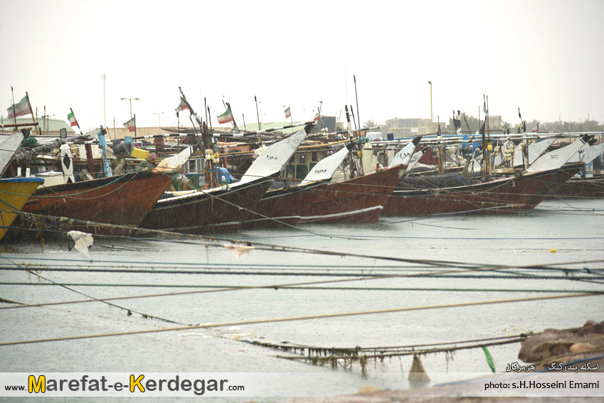 طبیعت بندر کنگ طبیعت بندر کنگ