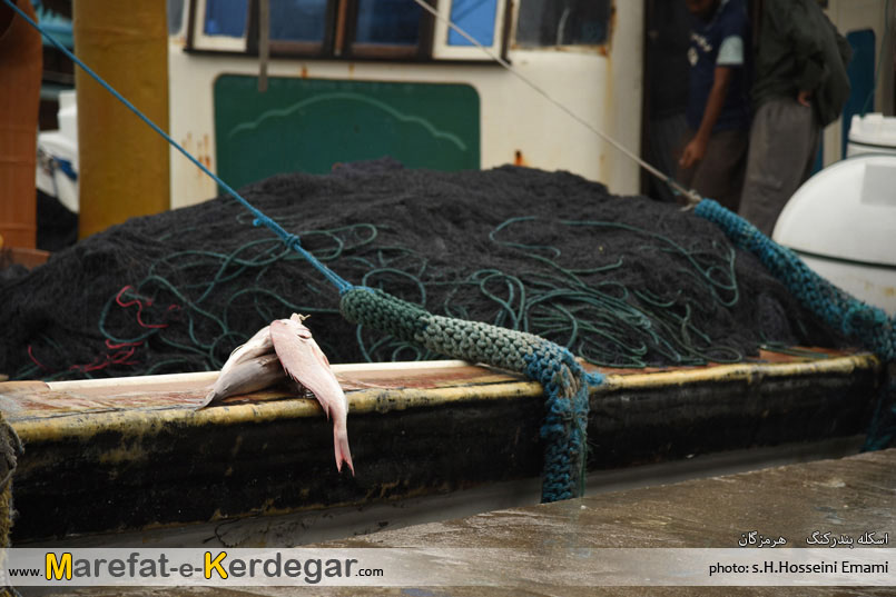 ماهی گیری در بندرکنگ ماهی گیری در بندرکنگ