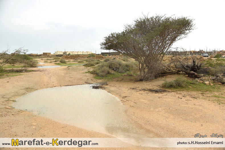 شهر تاریخی بندر کنگ شهر تاریخی بندر کنگ