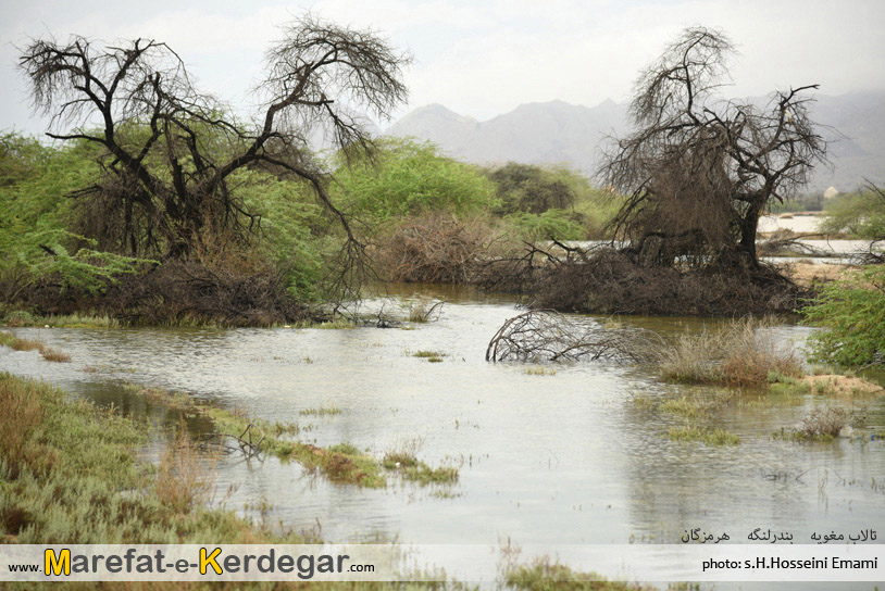 جاذبه های گردشگری بندرلنگه جاذبه های گردشگری بندرلنگه