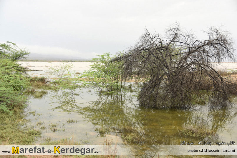 جاذبه های گردشگری بندرلنگه جاذبه های گردشگری بندرلنگه