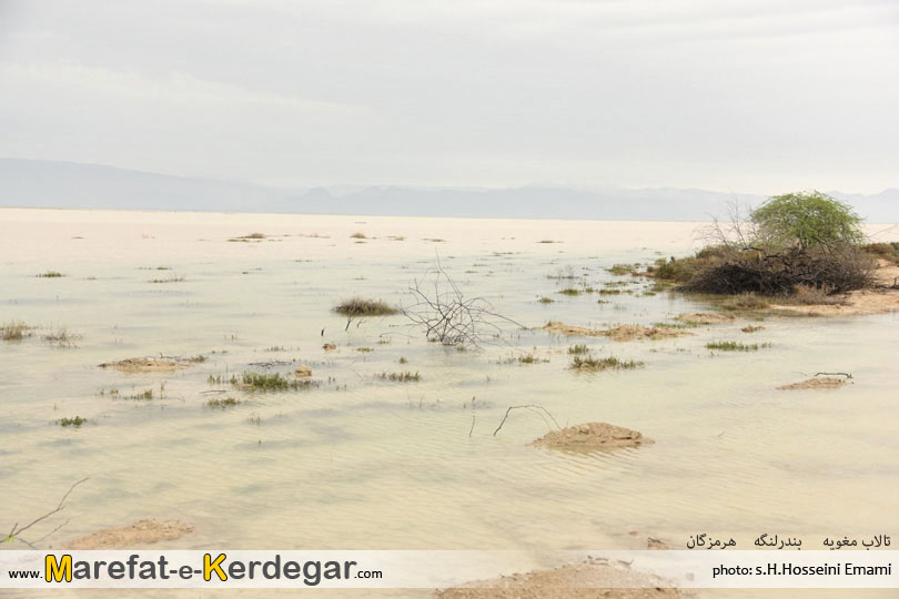 جاذبه های گردشگری بندر لنگه جاذبه های گردشگری بندر لنگه