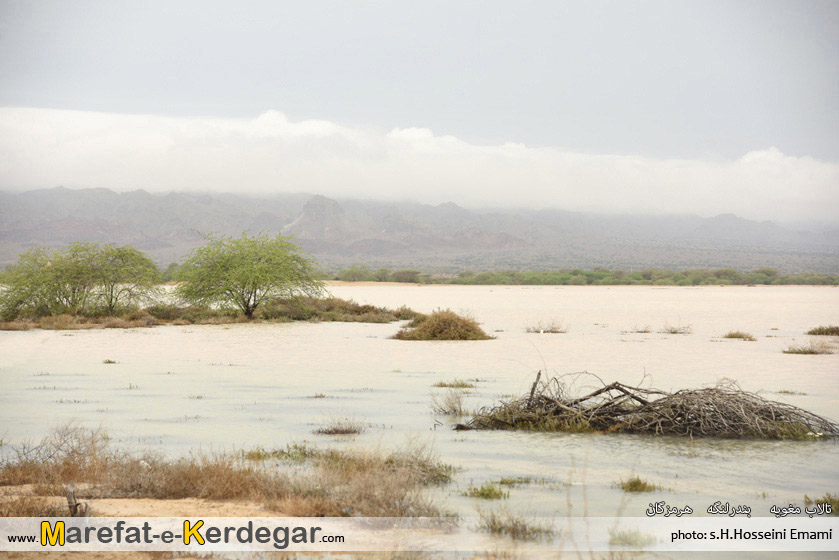 جاذبه های گردشگری بندر لنگه جاذبه های گردشگری بندر لنگه