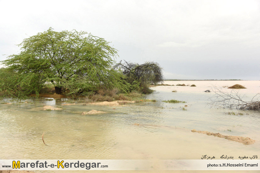 گردشگری بندرلنگه گردشگری بندرلنگه