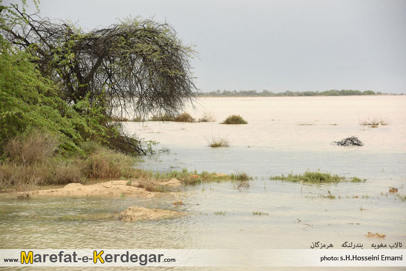 گردشگری بندرلنگه گردشگری بندرلنگه