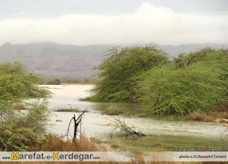 گردشگری بندر لنگه گردشگری بندر لنگه