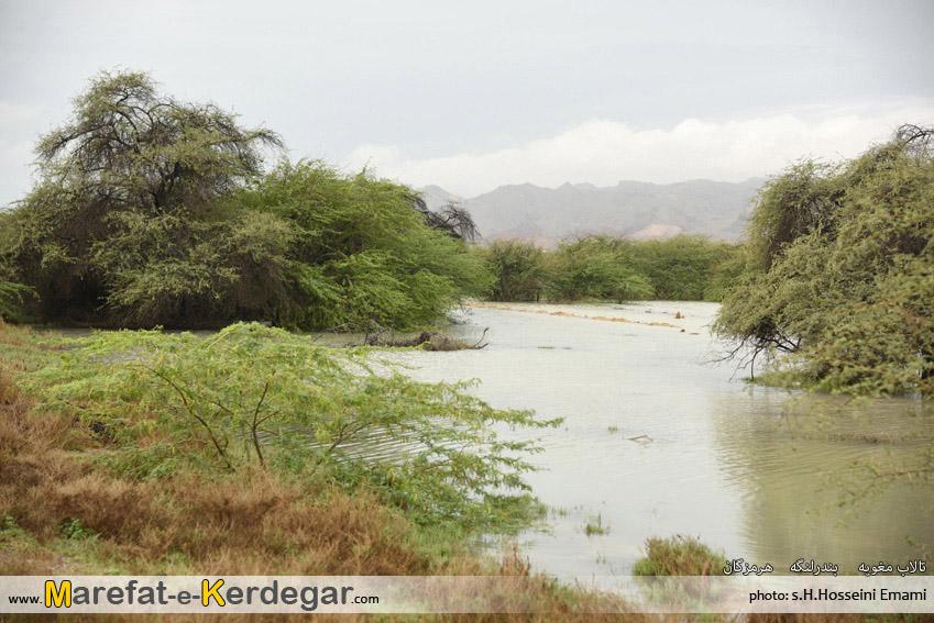 دیدنی های بندرلنگه دیدنی های بندرلنگه