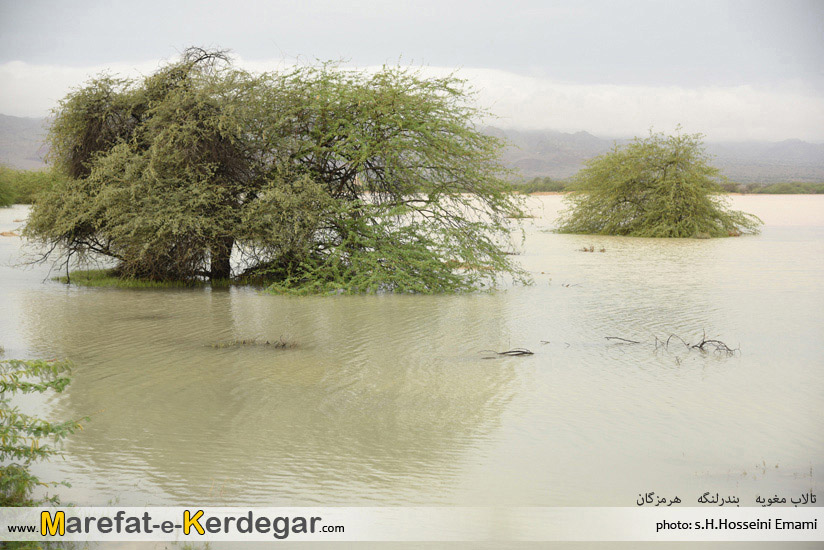 دیدنی های بندرلنگه دیدنی های بندرلنگه